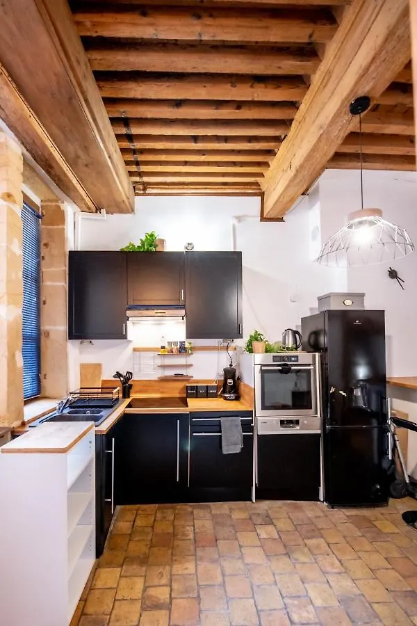 Apartment Soyeux - Superbe Canut Quai De Saone Lyon