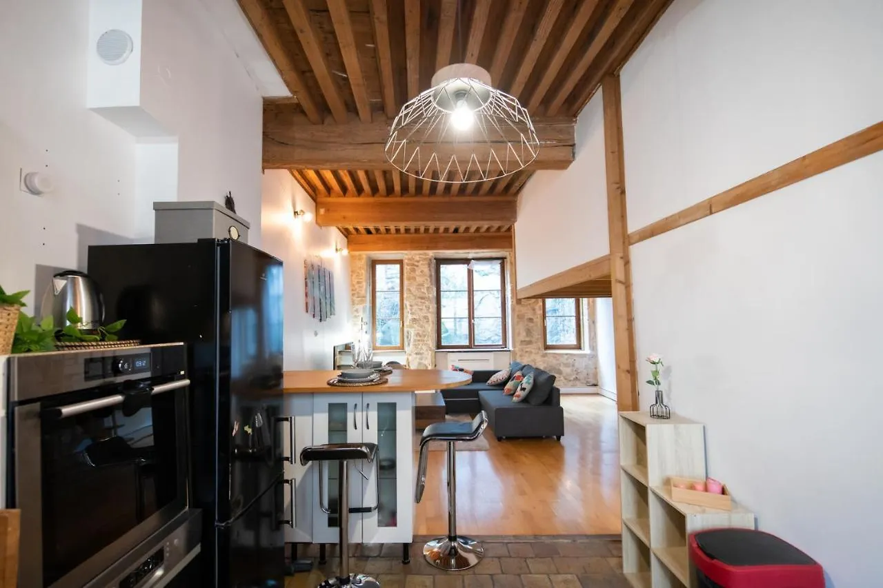 Apartment Soyeux - Superbe Canut Quai De Saone Lyon