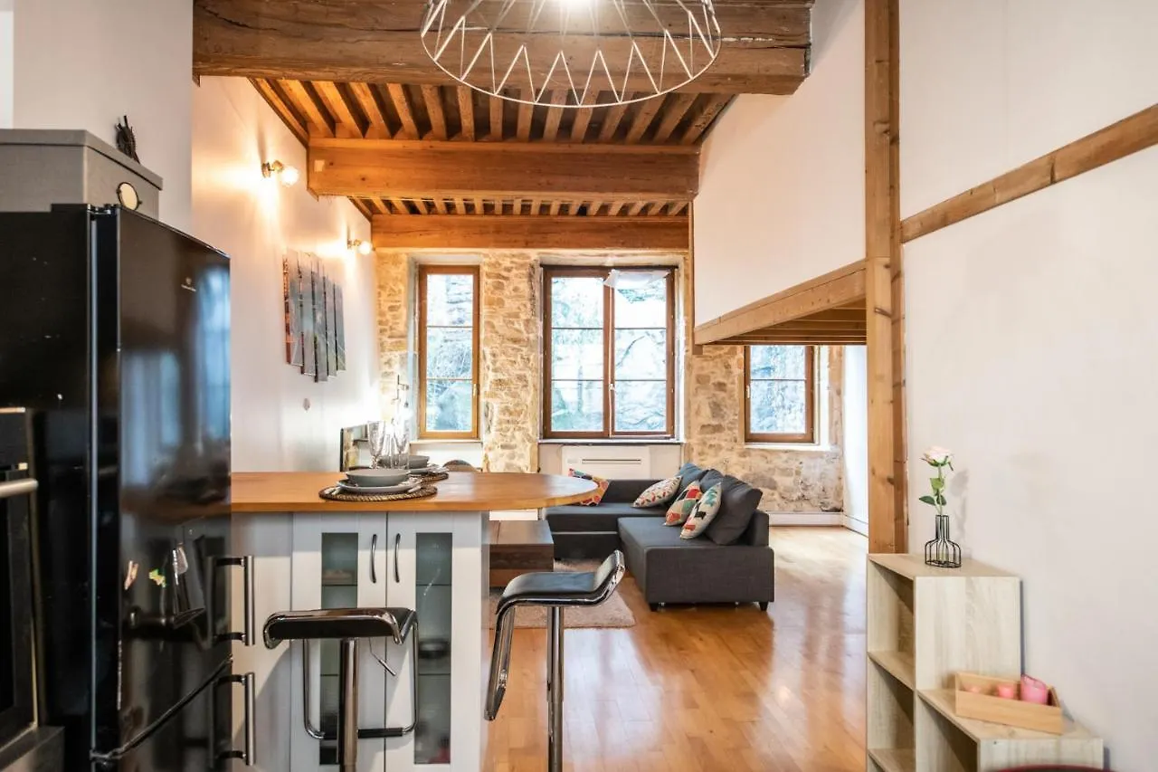 Soyeux - Superbe Canut Quai De Saone Lyon Apartment